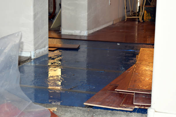 Professional Sewage Cleanup technician working in Fowlerville, MI